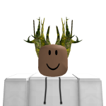 @coolroblox1213