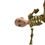 @DEFNOTEMSXX