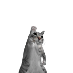@Siu00