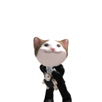 @zoroarksquad