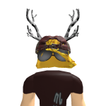 @V3G