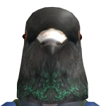 @seandarpro