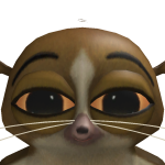 @lucaskongen222