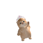 @2CTIM