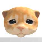 @Rayer5000