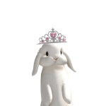 @bunnybinkyandsniffet