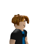 @Amirthegamer717