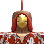 @EpicRooster11111