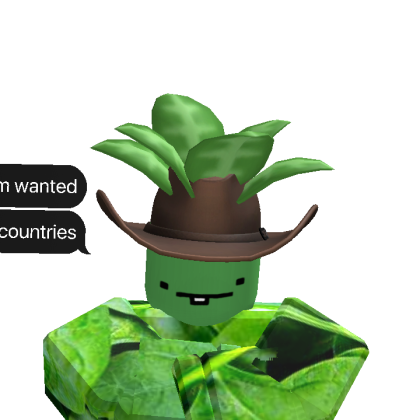 Roblox avatar