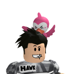 @hawkfan1231
