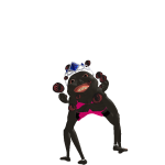 @puppypooplover1011