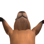 @pinhead_larry321