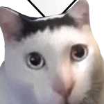 @Flyguin