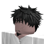 @53pro2009