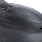 @GamingXSpresser