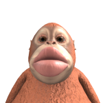 @selimlap