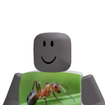 @noobman2011cool