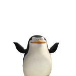 @Ava_Noob42