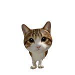 @pugacorn705