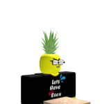 @roblox_user_5743490121