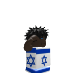 @Oldrobloxplayer33