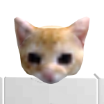 @smdfrog