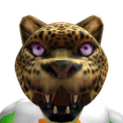Roblox profile picture for @safin