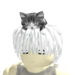 @Sokoidc
