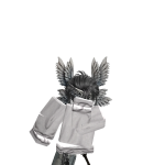 @ravqrn