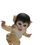 @MatexGamesPL1