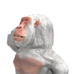 @stepan228322