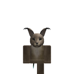 @Luhf3nd