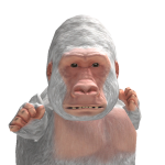 @dan56eb