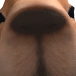 capybara
