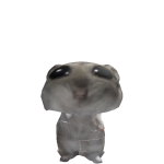 @Salboyyyyy