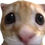 @cookiemonster70447