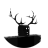 khanidae