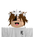 @Acepro2k
