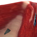@Watermelongamies