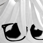 @Dog98477cat673