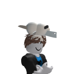 @Robloxian_4876