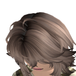 Belle_qbm
