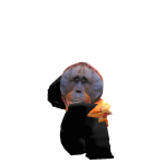 @Mrbloksplops