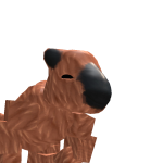 @Fortnite_robloxian9