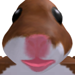 @0hwl