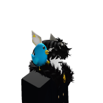 @witekzdro