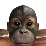 @sunquanri
