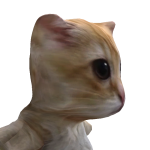 @larabaee