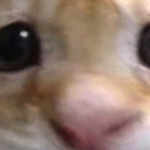 @michaeloff123