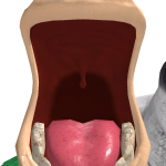 @kevinkevin8765